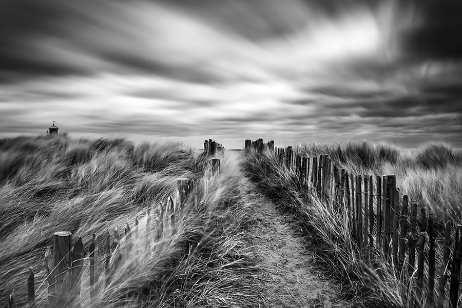 Crowd 9th: ‘Lead the way’ by David Ball - Location: North-East England 